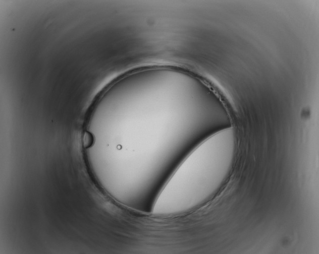 X0000103451460200809121114