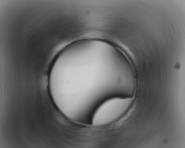 X0000103451461200809121114