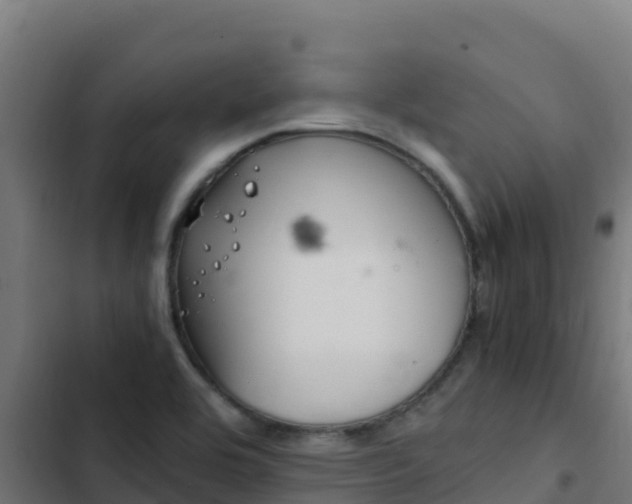 X0000103451464200809121114