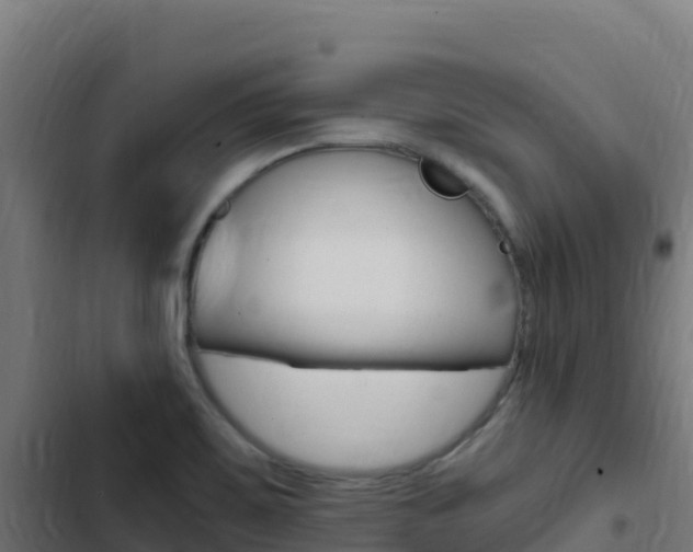X0000103451467200809121113