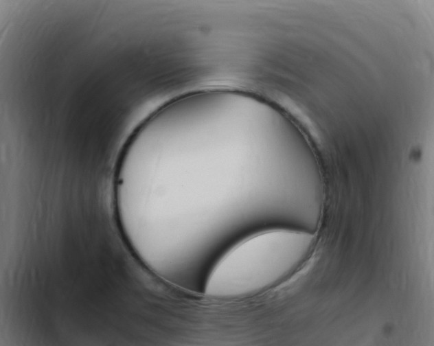X0000103451469200809121113