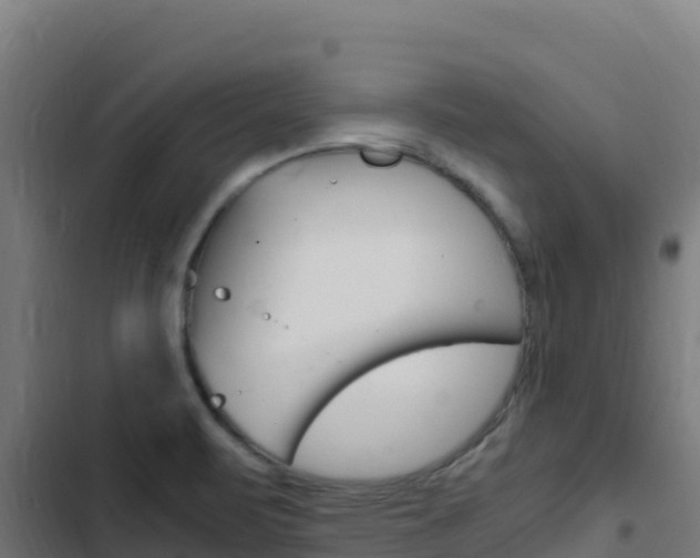 X0000103451471200809121113