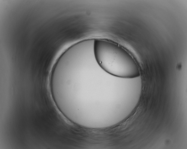 X0000103451472200809121113