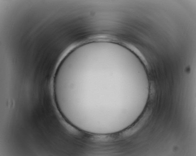 X0000103451474200809121113