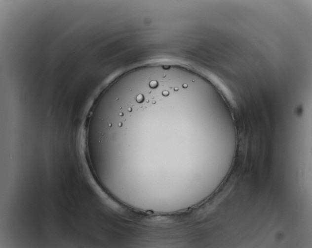 X0000103451476200809121113