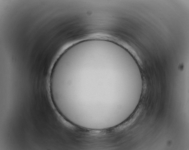 X0000103451478200809121113