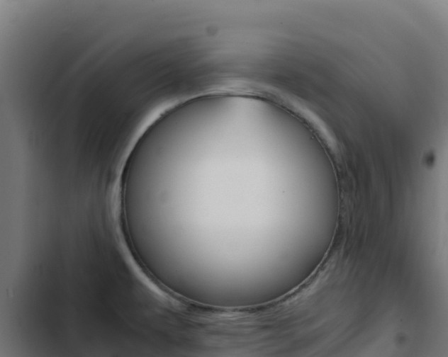 X0000103451479200809121113