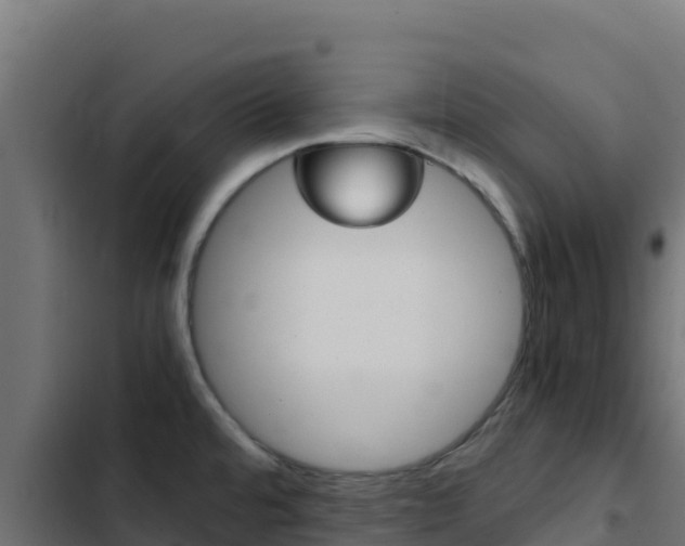 X0000103451480200809121113