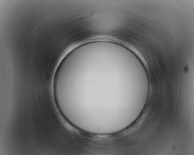 X0000103451482200809121113