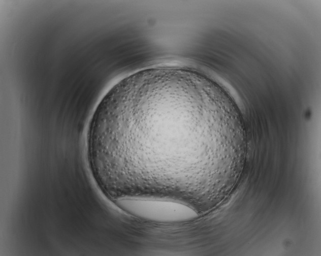 X0000103451483200809121113