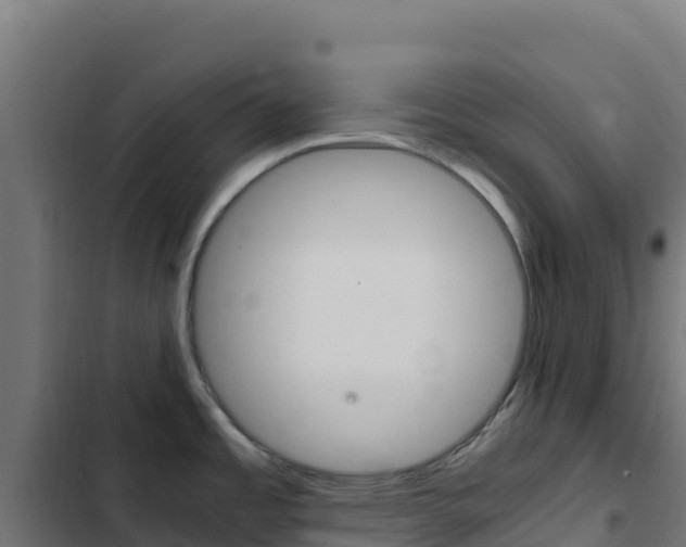 X0000103451485200809121113