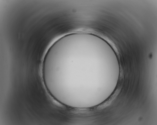 X0000103451486200809121113