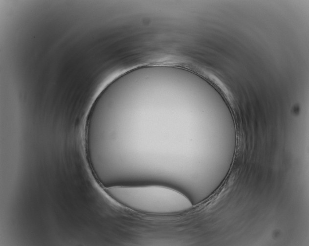 X0000103451487200809121113