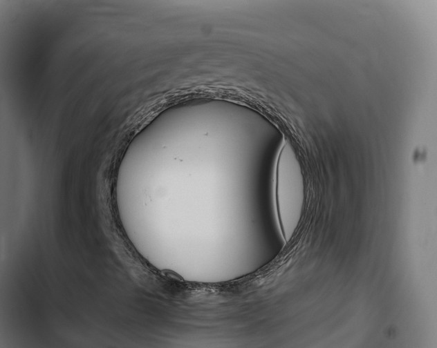 X0000103451489200809121113