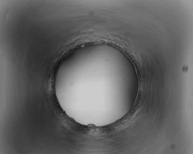X0000103451490200809121113