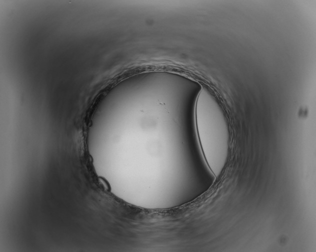 X0000103451493200809121113