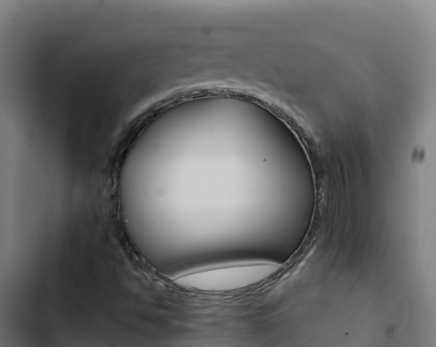 X0000103451494200809121113