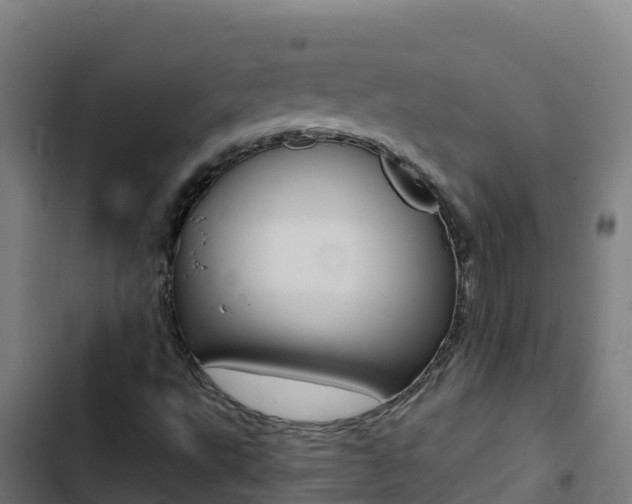 X0000103451495200809121113