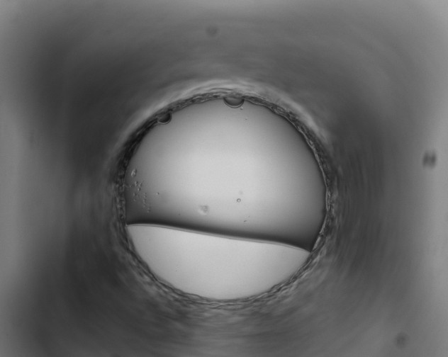 X0000103451496200809121113