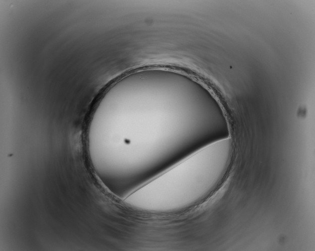 X0000103451497200809121113