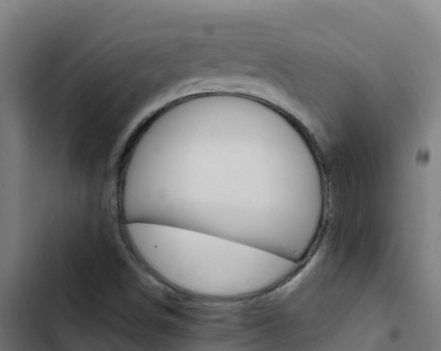 X0000103451498200809121113