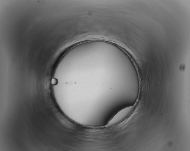 X0000103451499200809121113