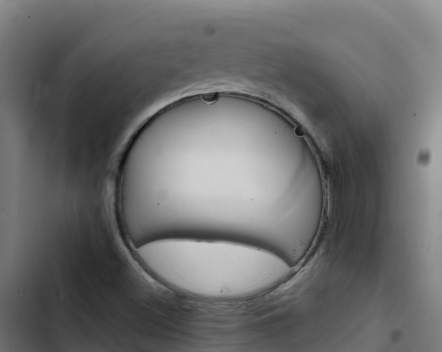 X0000103451500200809121113