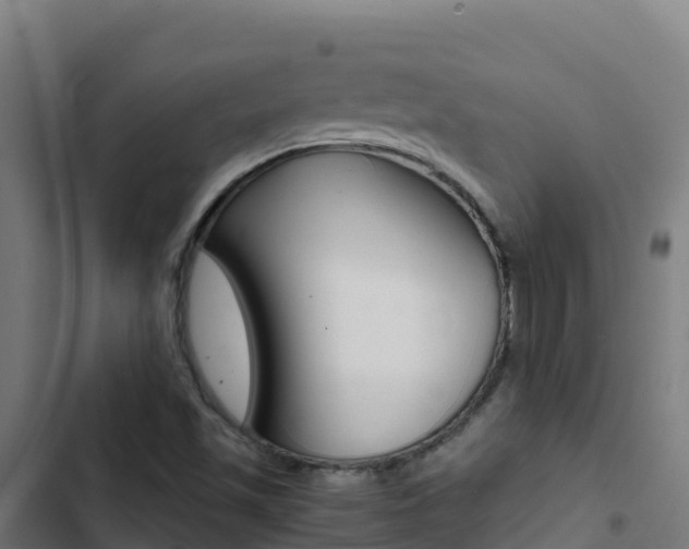 X0000103451501200809121113