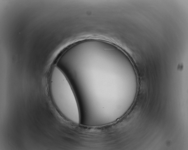 X0000103451503200809121113