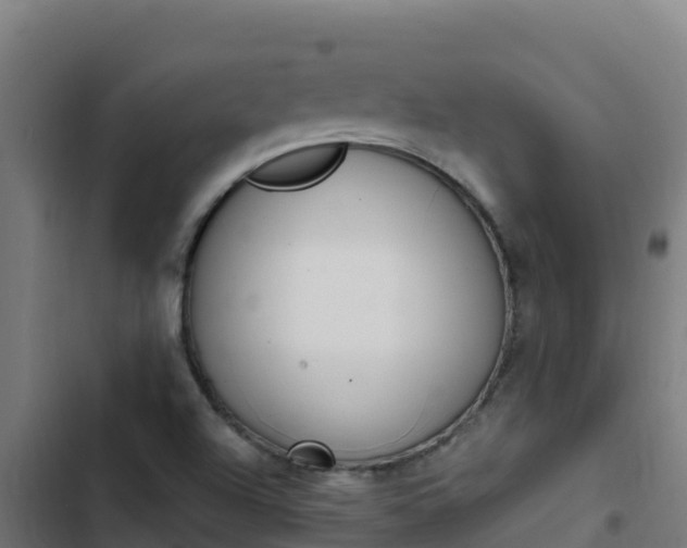 X0000103451504200809121113