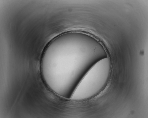 X0000103451505200809121113