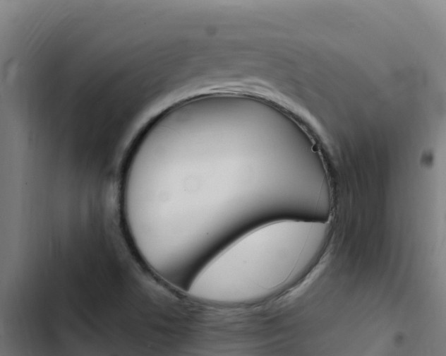 X0000103451506200809121113