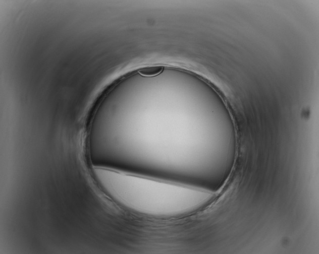 X0000103451507200809121113