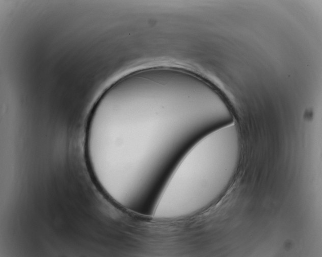 X0000103451508200809121113