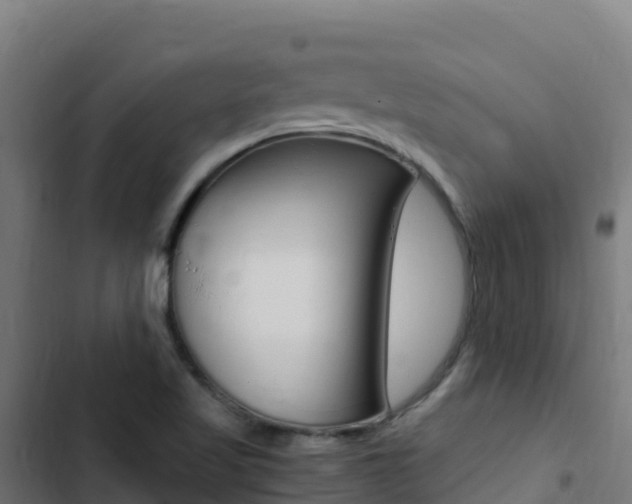 X0000103451509200809121113