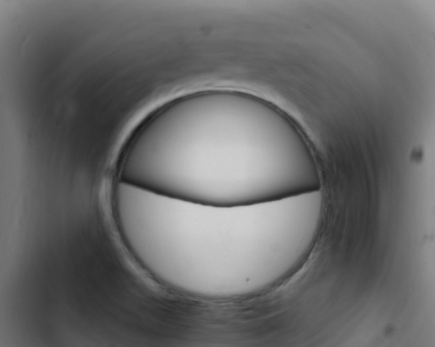 X0000103451511200809121113