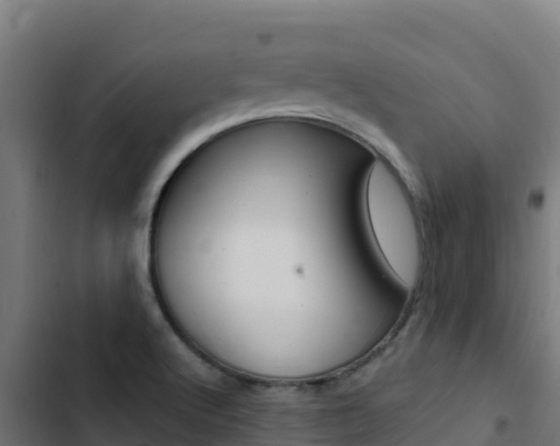 X0000103451512200809121113