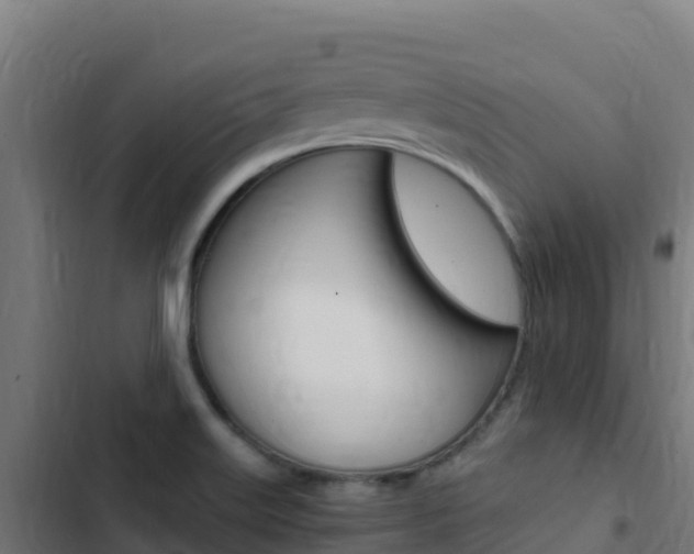 X0000103451515200809121113