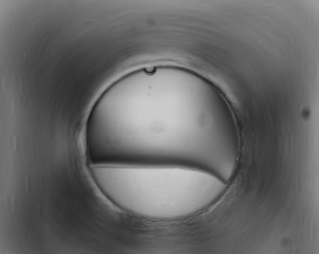 X0000103451516200809121113