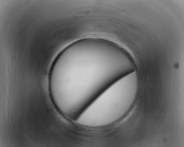 X0000103451517200809121113