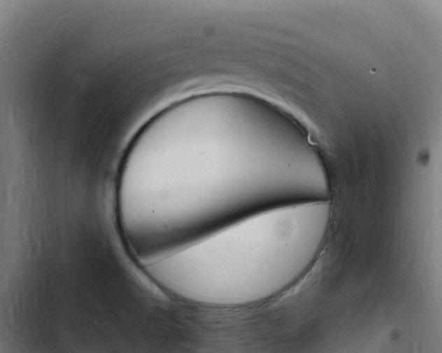 X0000103451518200809121113