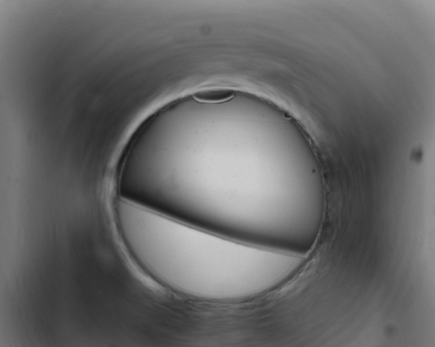 X0000103451519200809121113