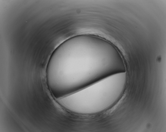 X0000103451521200809121113