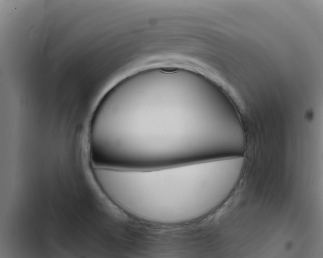 X0000103451522200809121113