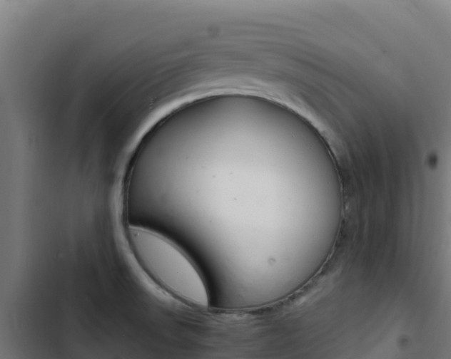 X0000103451523200809121113
