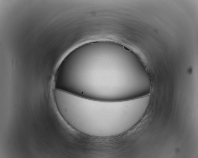 X0000103451524200809121113