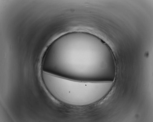 X0000103451525200809121113