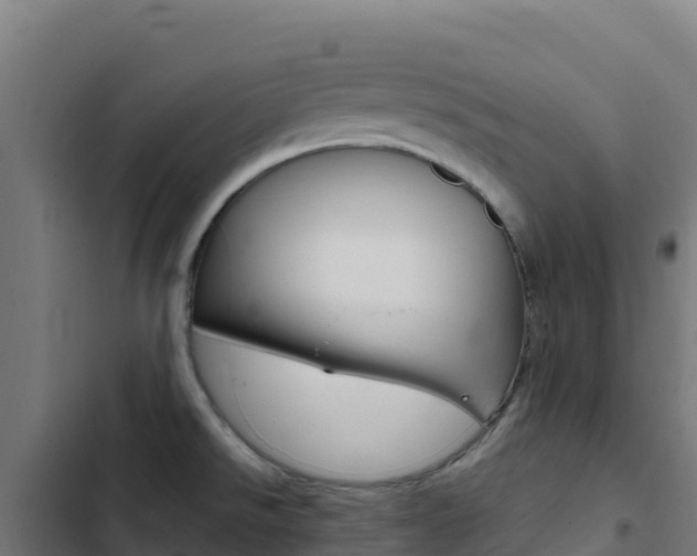 X0000103451526200809121113