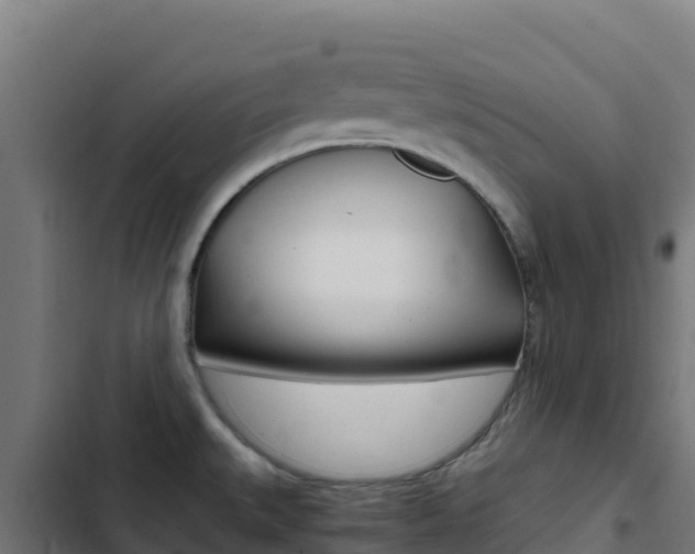 X0000103451527200809121113