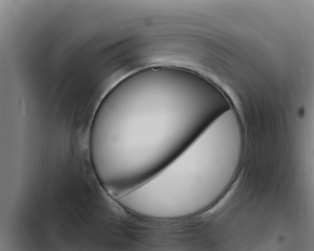 X0000103451529200809121113